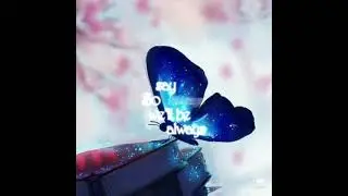 güzel kelebek resimleri