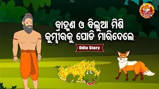 Bramhana O Bilua Misi Kumbhira Ku Maridele - ବ୍ରାହ୍ମଣ ଓ ବିଲୁଆ ମିଶି କୁମ୍ଭୀରକୁ ମରିଦେଲେ | Moral Story