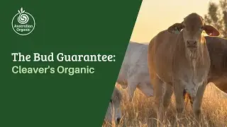 The Bud Guarantee: Cleaver's Organic | Australian Organic