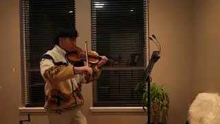 Dreamer - Laufey (Violin cover)