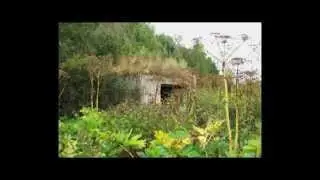 Видео. 