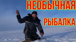 КАК МЫ ЛОВИЛИ РИПУСА