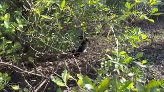 Новые встречи в Сказке!😊☀️❤️❤️❤️