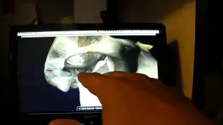 Leap Motion - Prova