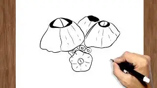 How to Draw Barnacles