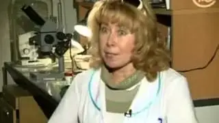 Мягкий, ласковый, тихий убийца!