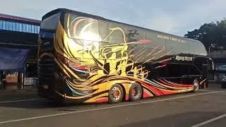 Bis agung sejati body tinggi besar