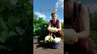 Как у вас нынче с кабачками? #юмор #смех #жиза #видео #шортсы #ютуб