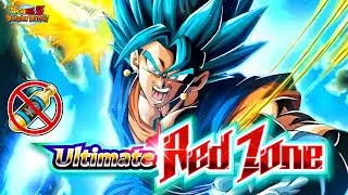 YOSHAA! NO ITEMS! LR AGL VEGITO BLUE VS. ROSE GOKU BLACK! ULTIMATE REDZONE (DBZ: DOKKAN BATTLE)