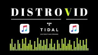 DistroVid: The Best Way To Release Music Videos