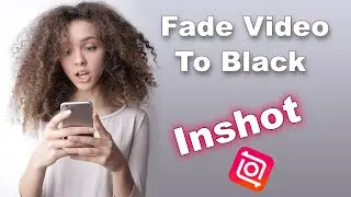 How to Fade in/out video to Black in Inshot