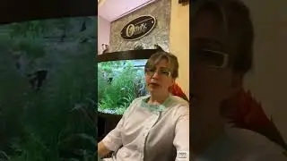 Видеообращение руководителя проекта.