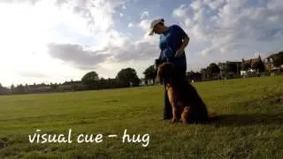 Champion Trick Title with Bella's Trix Club