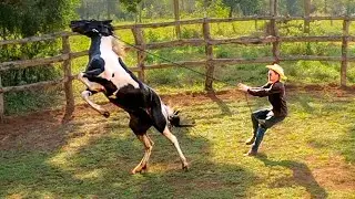 This WILD HORSE Is CRAZY! | Taming A Wild Horse [EP 2]