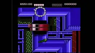 Battletoads (Famicom) Glitched Terra Tubes