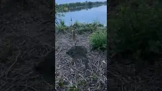 Умудрилась
