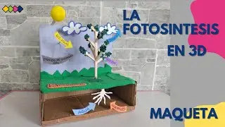 How to make a spectacular 3D model of photosynthesis easily and quickly