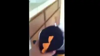 Yoshi takes a poop