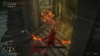 ELDEN RING -- Nikocado Avodaco fucing DIES