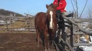 самая удобная команда
