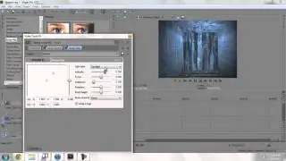 Sony Vegas Pro Tutorial: Adjustment Layer