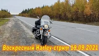 Воскресный Harley-стрим 19.09.2021.