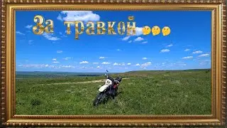 МОТОПРОБЕГ ЗА ЗАГАДОЧНОЙ ТРАВКОЙ...