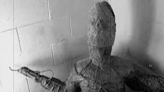 ORCO PIO #SUKA #KU189