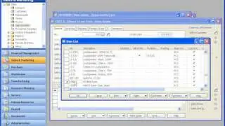 Microsoft Dynamics NAV CRM