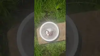 на рыбалочку надо червяка найти то