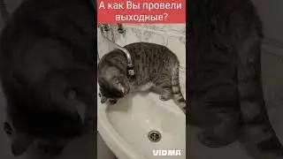 Мэри и выходные