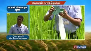 அங்கக முறையில் பூச்சி மேலாண்மை முறை