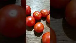 Organically grown fresh cherry tomatoes#organicfarming #cherrytomatoes#tomatoes#freshfarmfruit#vegan