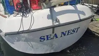 Sneak peak: The Sea Nest starts for the first time! (For us)