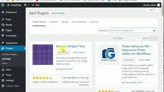 How to hide widget title in WordPress site