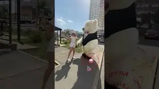 Где ты королева #panda #umka #Амиго #Умка #dance #umkarostov #мишкаумка #амиго #медведь #танцы