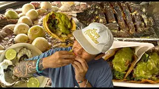 ROSARITO, MX FOOD TOUR// EYEBALL TACOS, MOJARRA, ARRACHERA, OYSTERS, BAJA CALIFORNIA, POPOTLA