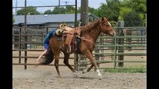 BETH FELL OFF 3x!! Trick Riding Vlog - Week Two