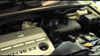 Lexus RX330 Air Cleaner Replacement