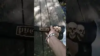 #русич