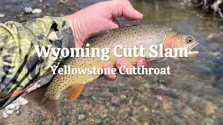 Wyoming Cutt Slam: Final Episode