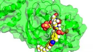 Molecules 
