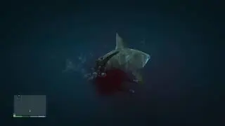 Grand Theft Auto V -  Wasted Shark Attack 5