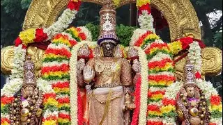 Sri Parthasarathy swamy and Swami Manavalamamunigal Thirunatchatra Purappadu