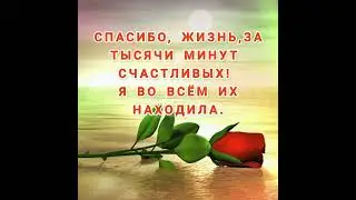 Спасибо , жизнь !