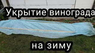 Укрытие винограда на зиму 28.10.2022
