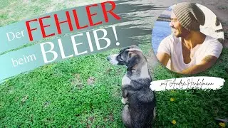 Der größte Fehler beim 