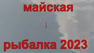 рыбалка в начале мая 2023 на поплавок, ловля густеры в разгаре.