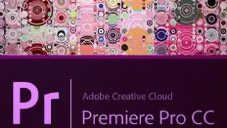 HOW TO USE ADOBE PREMIERE PRO: Video Editing Tutorial