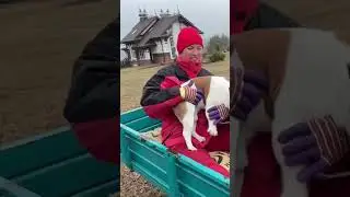 25 марта 2024 г.